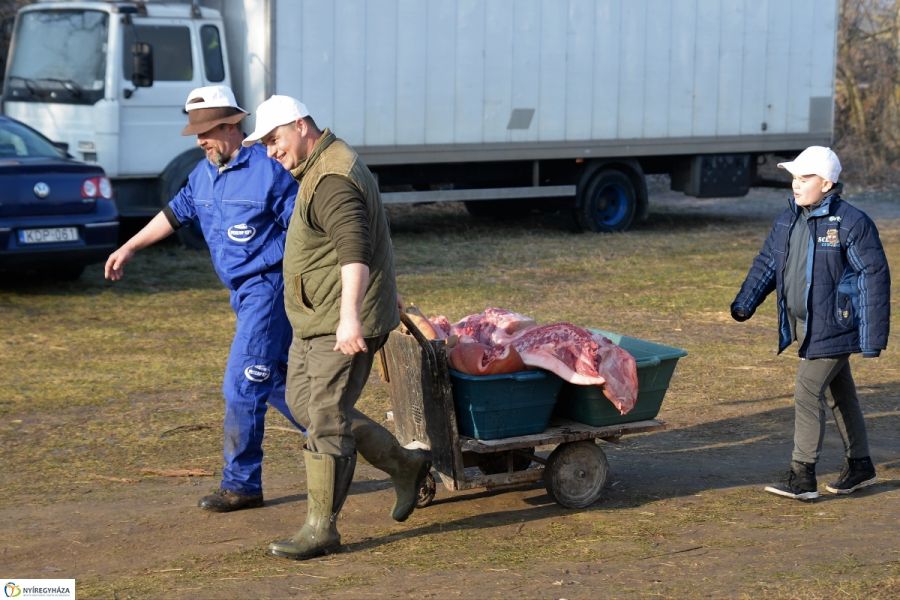 Megkezdődött a Disznótoros Fesztivál