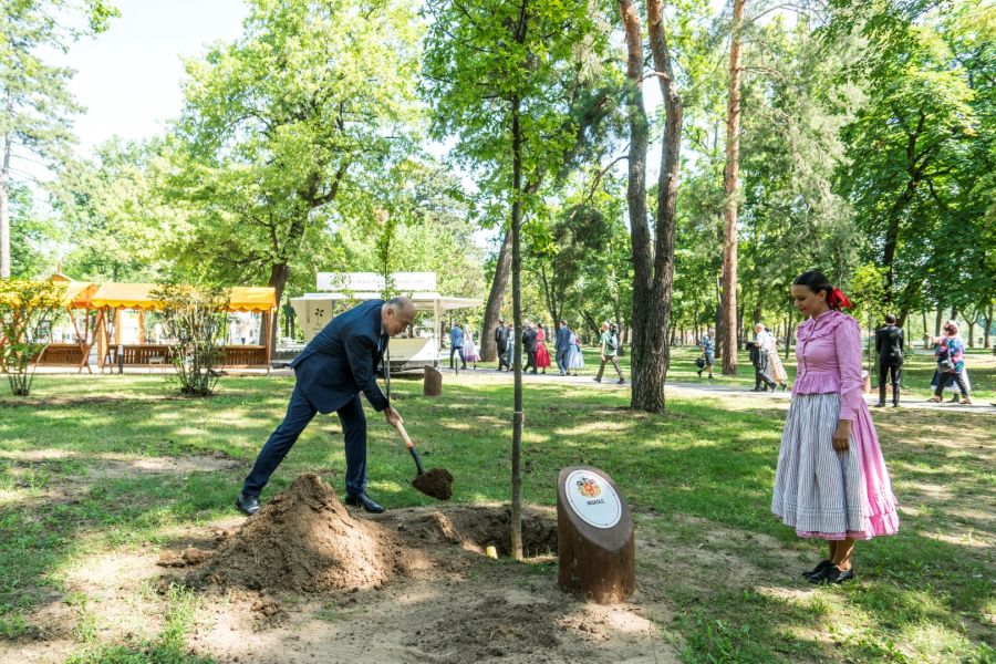 Megyei Jogú Városok Polgármesterei ültettek fákat Sóstógyógyfürdőn