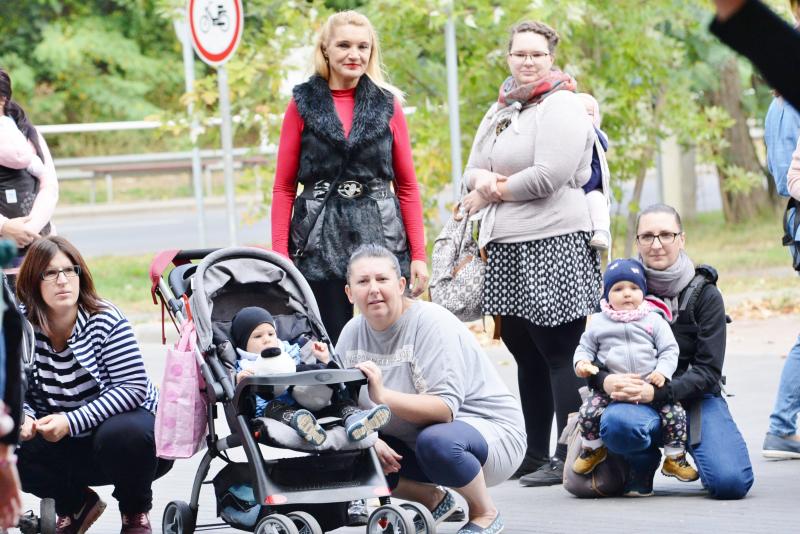 Nemzetközi Babahordozó hét megnyitó - Séta az Állatparkban