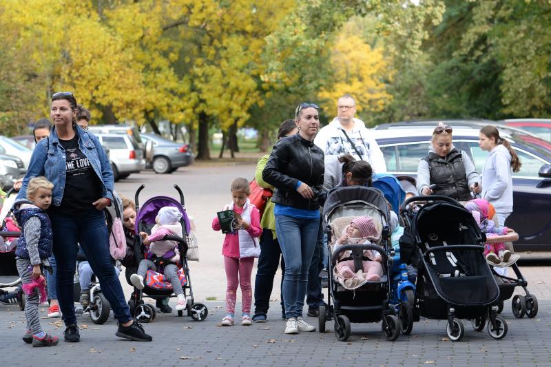 Nemzetközi Babahordozó hét megnyitó - Séta az Állatparkban