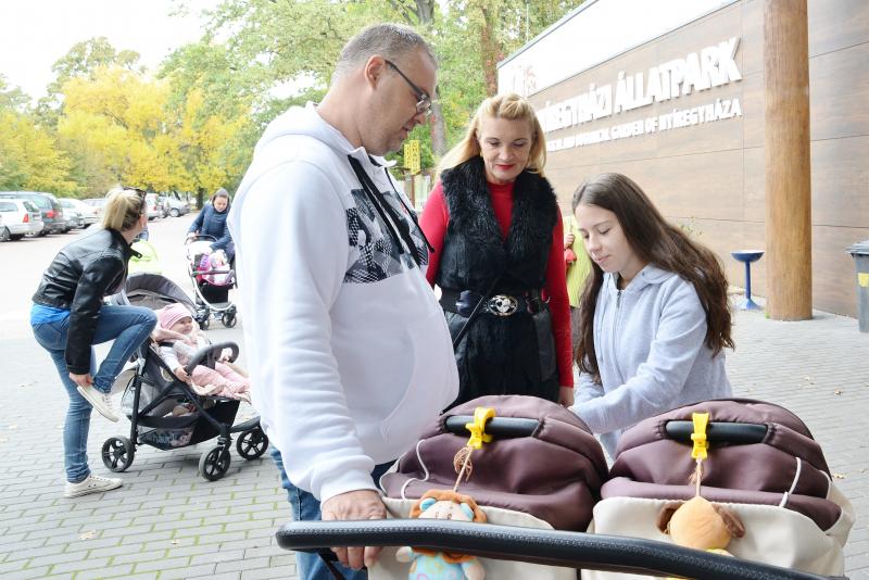 Nemzetközi Babahordozó hét megnyitó - Séta az Állatparkban