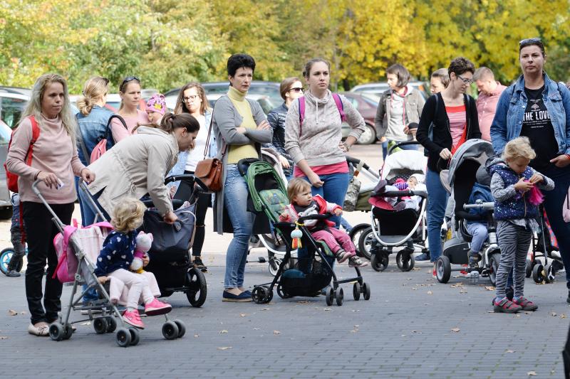 Nemzetközi Babahordozó hét megnyitó - Séta az Állatparkban