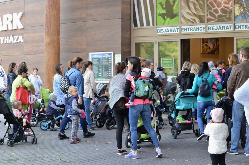 Nemzetközi Babahordozó hét megnyitó - Séta az Állatparkban