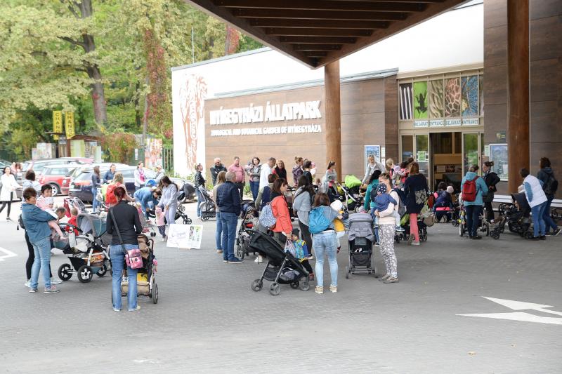 Nemzetközi Babahordozó hét megnyitó - Séta az Állatparkban