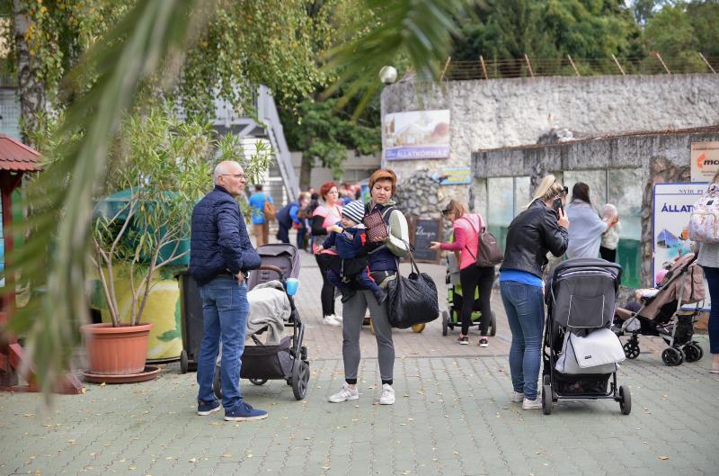 Nemzetközi Babahordozó hét megnyitó - Séta az Állatparkban