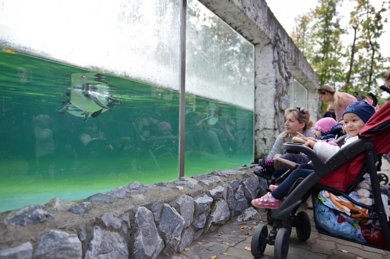 Nemzetközi Babahordozó hét megnyitó - Séta az Állatparkban