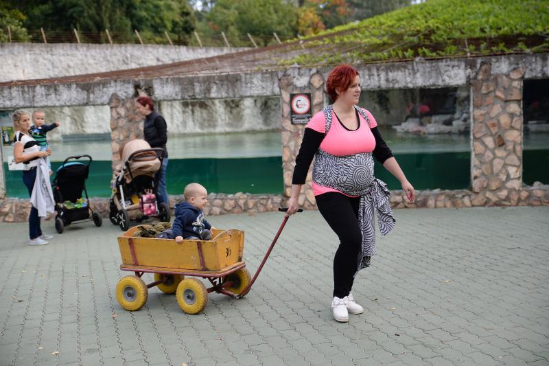 Nemzetközi Babahordozó hét megnyitó - Séta az Állatparkban