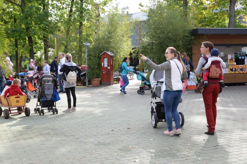 Nemzetközi Babahordozó hét megnyitó - Séta az Állatparkban