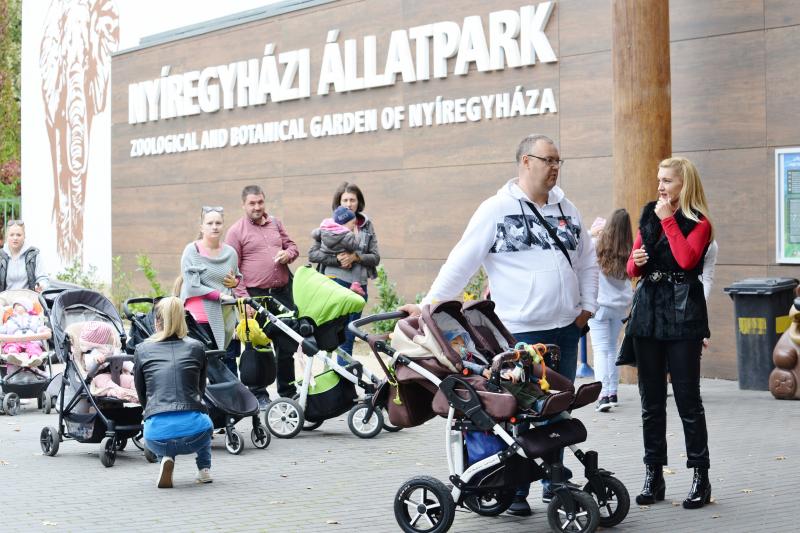 Nemzetközi Babahordozó hét megnyitó - Séta az Állatparkban