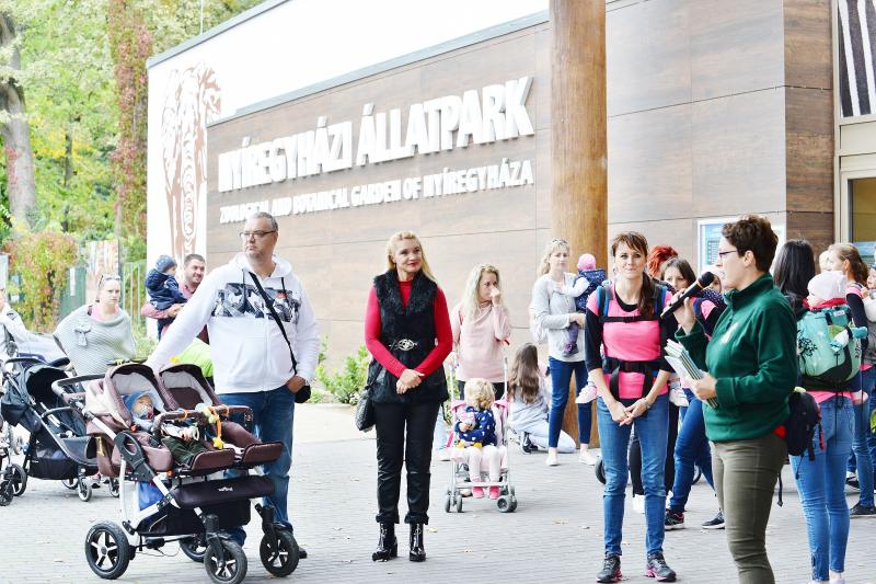 Nemzetközi Babahordozó hét megnyitó - Séta az Állatparkban