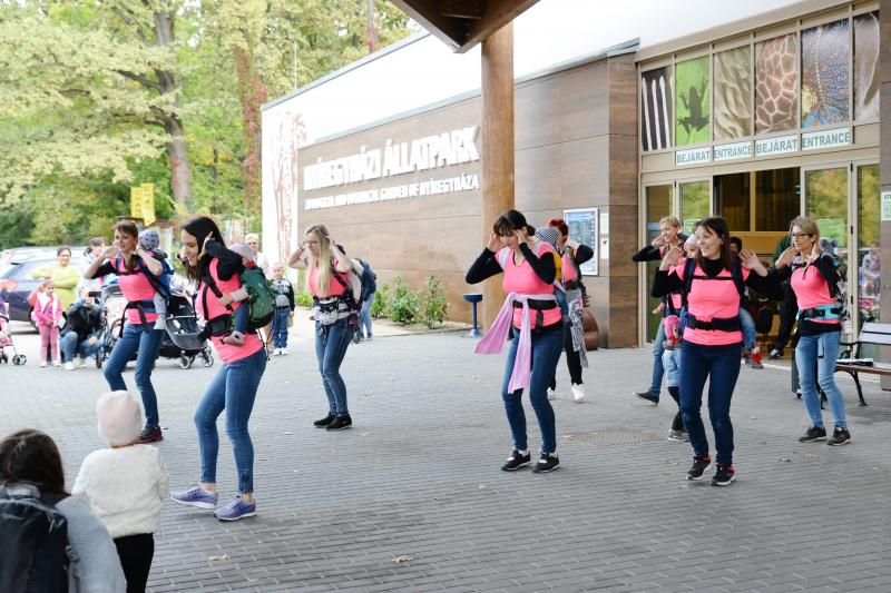 Nemzetközi Babahordozó hét megnyitó - Séta az Állatparkban