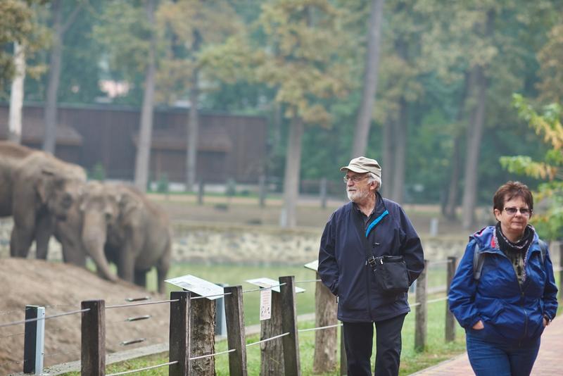 Nyugdíjas séta az Állatparkban