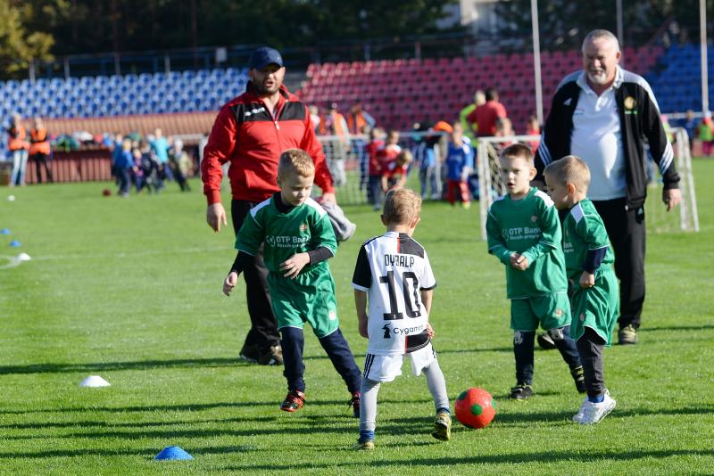 Ovifoci a Városi Stadionban