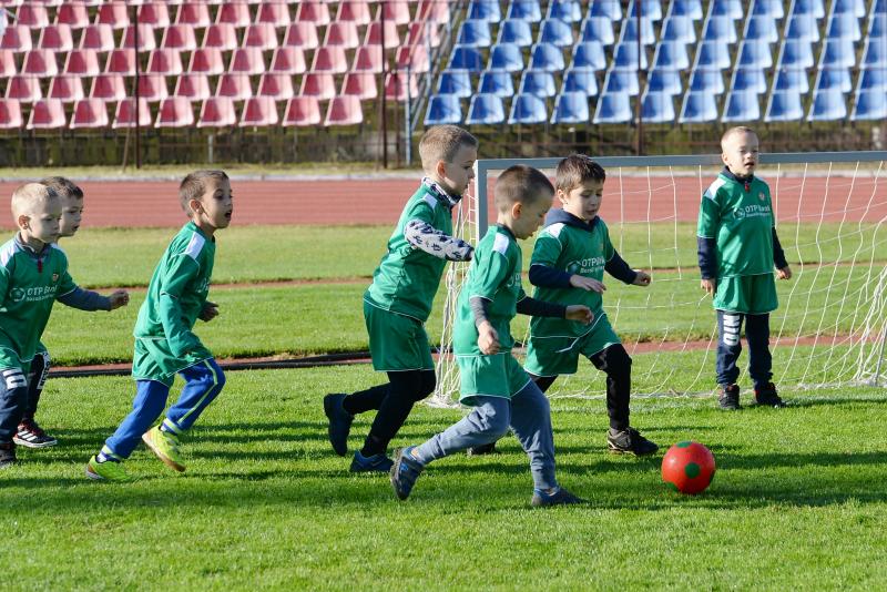 Ovifoci a Városi Stadionban