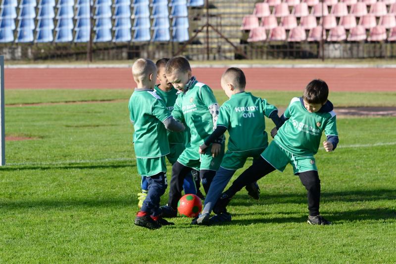 Ovifoci a Városi Stadionban