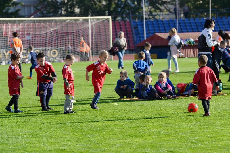 Ovifoci a Városi Stadionban