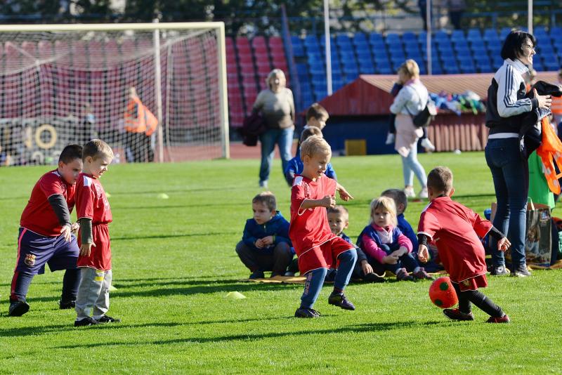 Ovifoci a Városi Stadionban