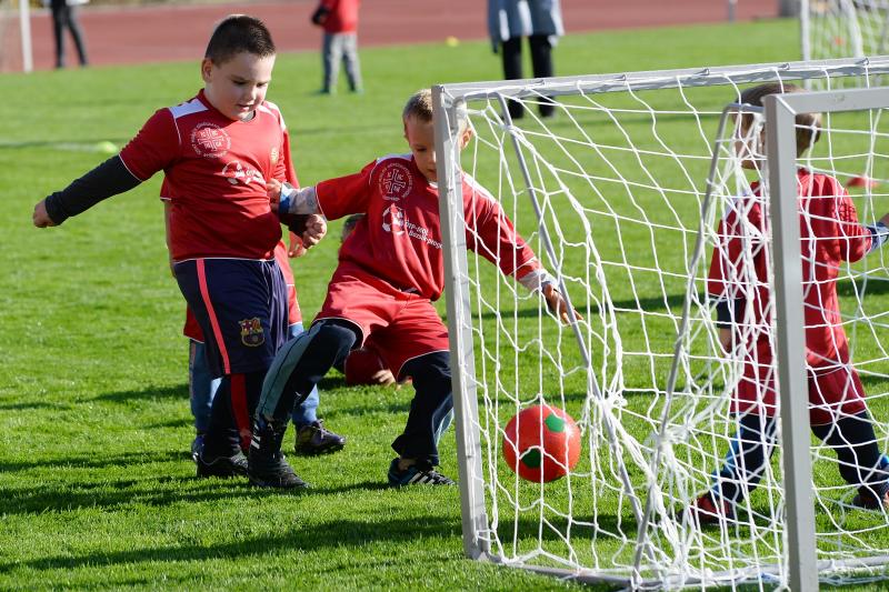 Ovifoci a Városi Stadionban