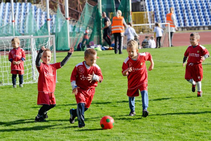 Ovifoci a Városi Stadionban