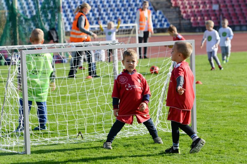 Ovifoci a Városi Stadionban