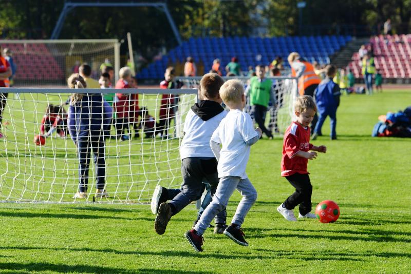 Ovifoci a Városi Stadionban