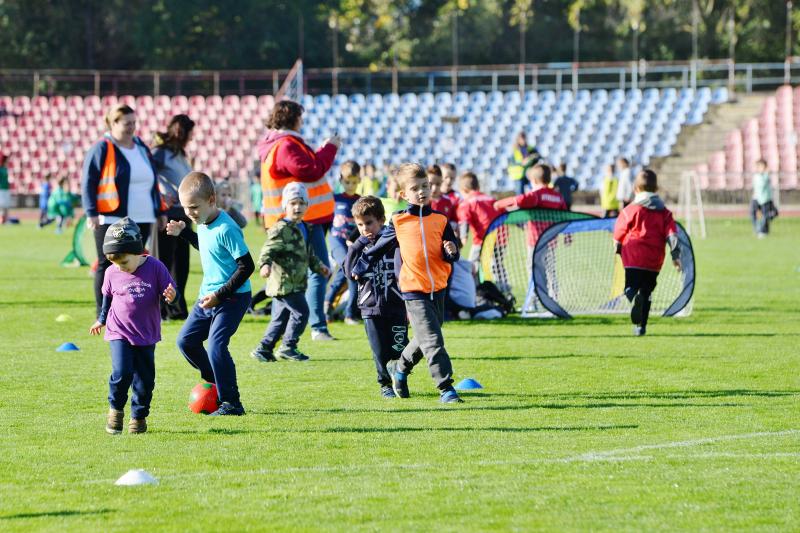 Ovifoci a Városi Stadionban