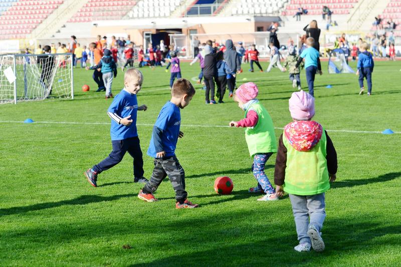 Ovifoci a Városi Stadionban