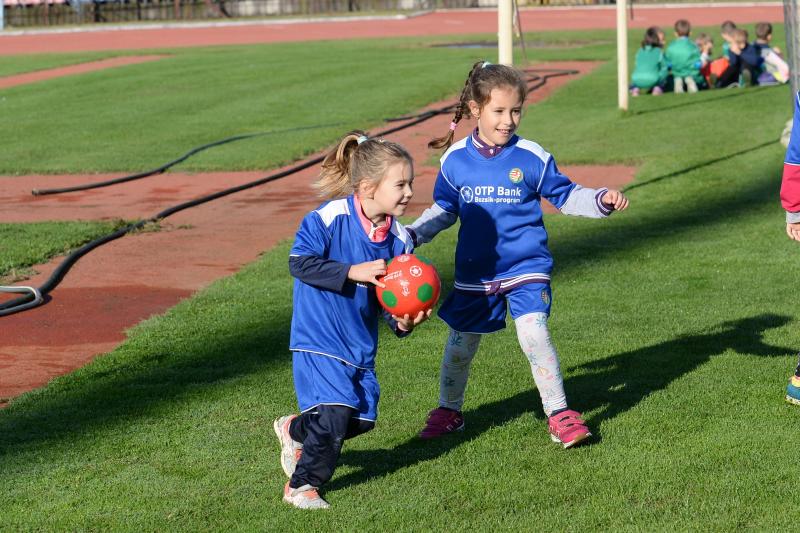 Ovifoci a Városi Stadionban