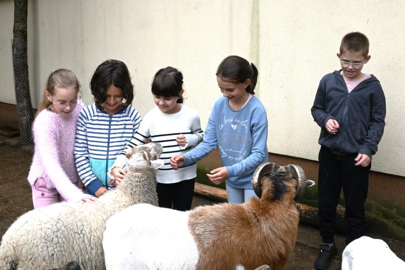 Pedagógus Roadshow a Szabó Lőrinc Tagintézményben