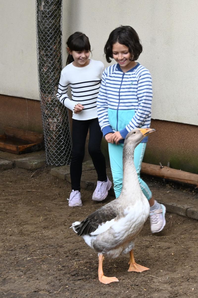 Pedagógus Roadshow a Szabó Lőrinc Tagintézményben