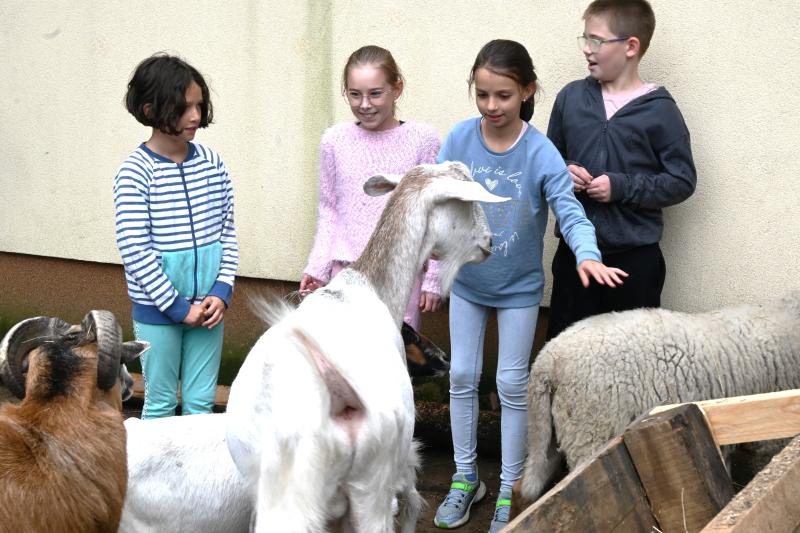 Pedagógus Roadshow a Szabó Lőrinc Tagintézményben