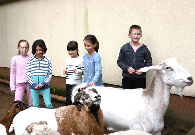 Pedagógus Roadshow a Szabó Lőrinc Tagintézményben