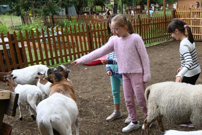 Pedagógus Roadshow a Szabó Lőrinc Tagintézményben