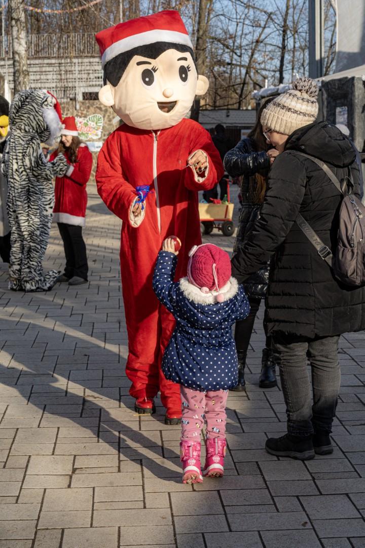 Sarkvidéki karácsony a LEGO gyárral a Nyíregyházi Állatparkban