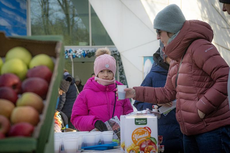 Sarkvidéki karácsony a LEGO gyárral a Nyíregyházi Állatparkban