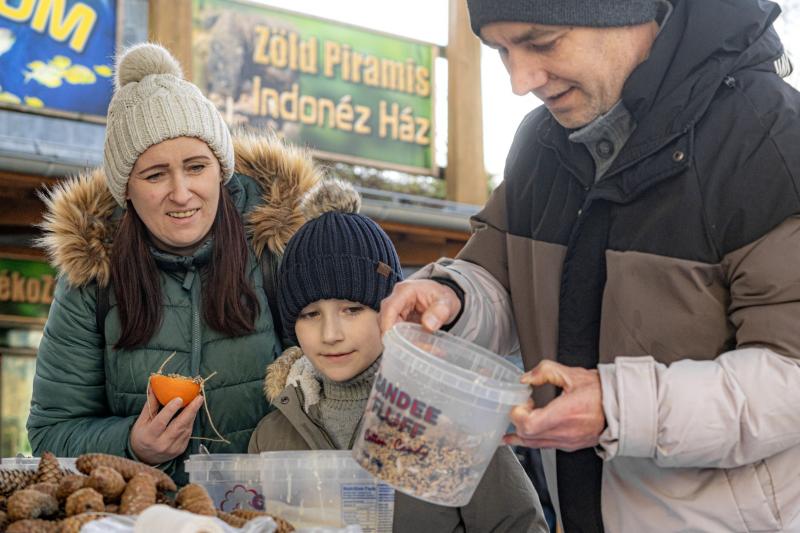 Sarkvidéki karácsony a LEGO gyárral a Nyíregyházi Állatparkban