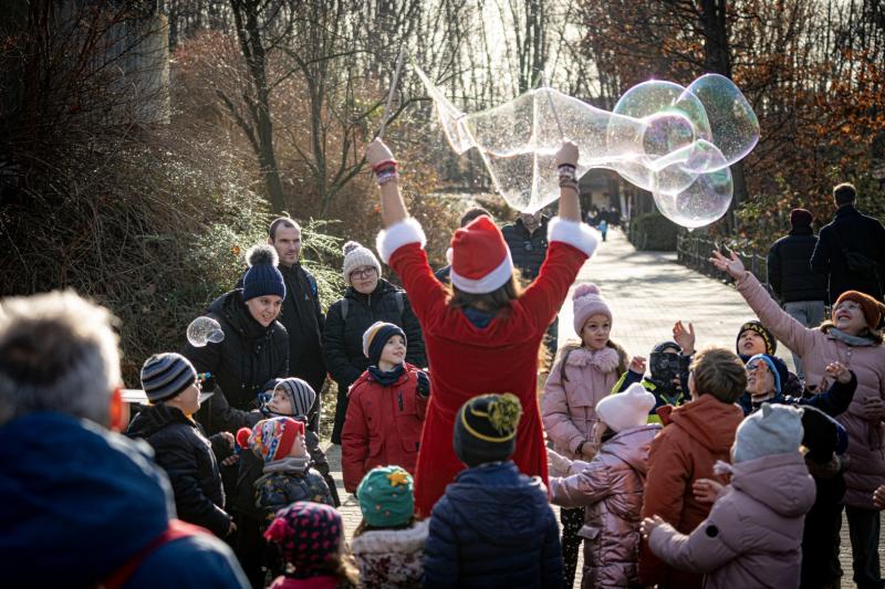 Sarkvidéki karácsony a LEGO gyárral a Nyíregyházi Állatparkban