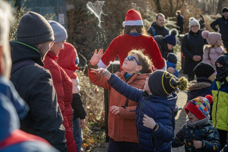 Sarkvidéki karácsony a LEGO gyárral a Nyíregyházi Állatparkban