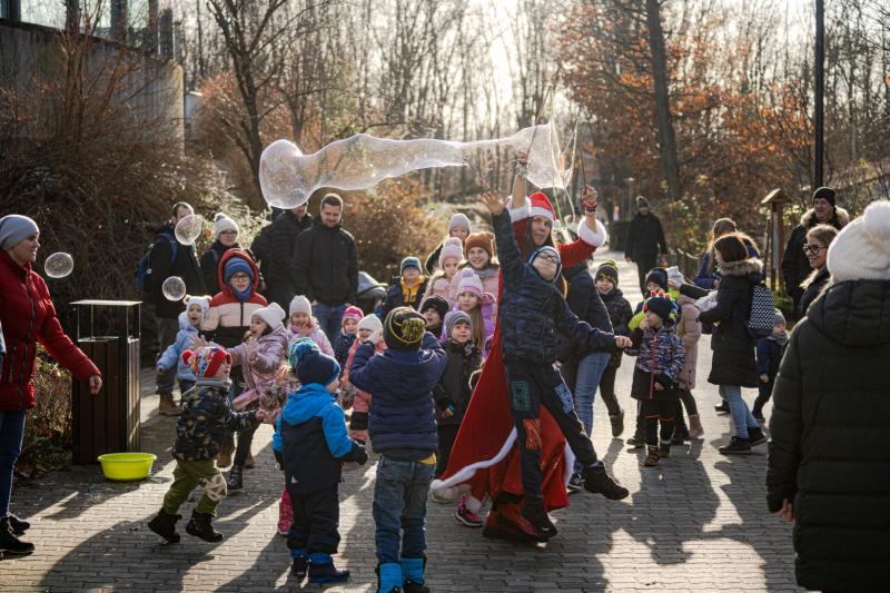 Sarkvidéki karácsony a LEGO gyárral a Nyíregyházi Állatparkban