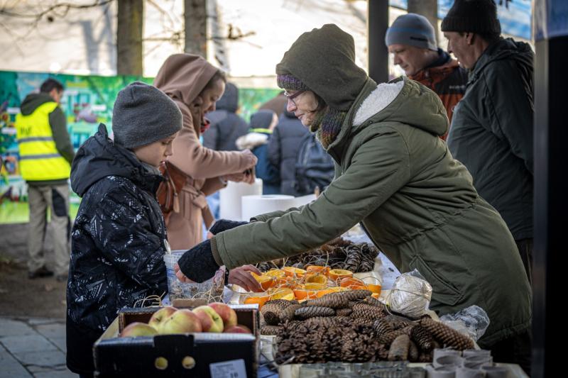 Sarkvidéki karácsony a LEGO gyárral a Nyíregyházi Állatparkban