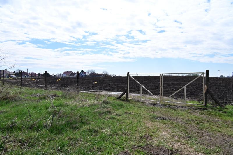 Sirály-rét erdősítési program 2026 áprilisában