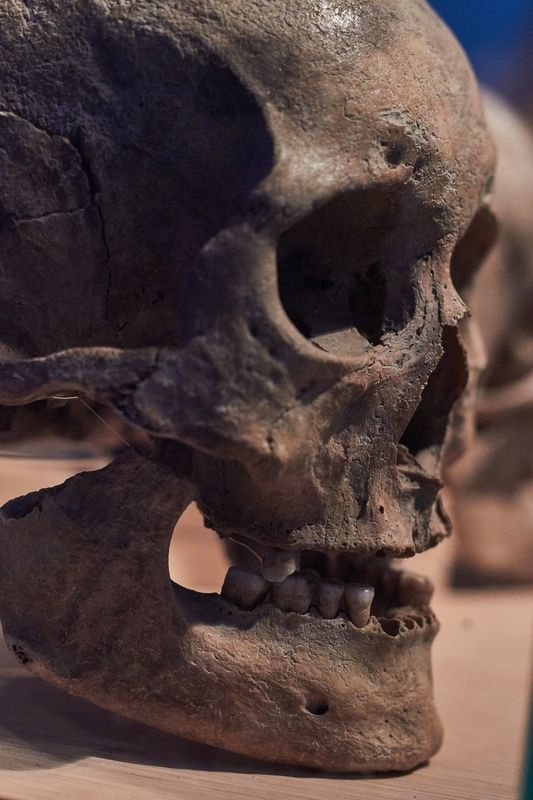 Szóra bírt csontjaink kiállítás a múzeumban