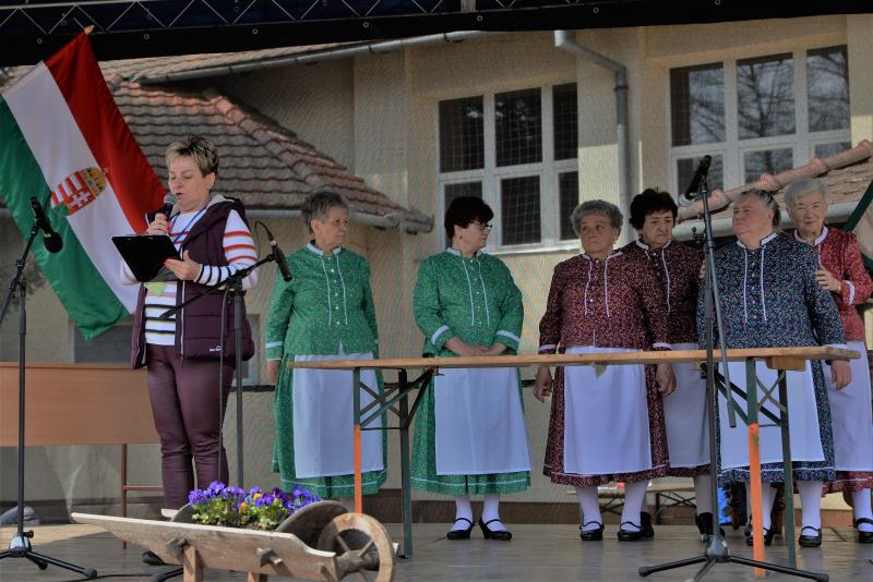 Tavaszi zsibongó Sóstóhegyen