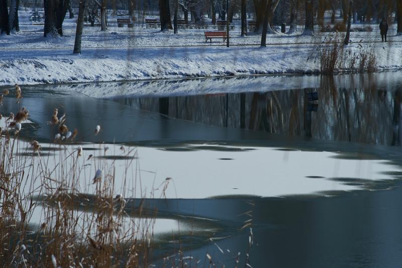 Téli séta a Bujtosi Városligetben 20220109