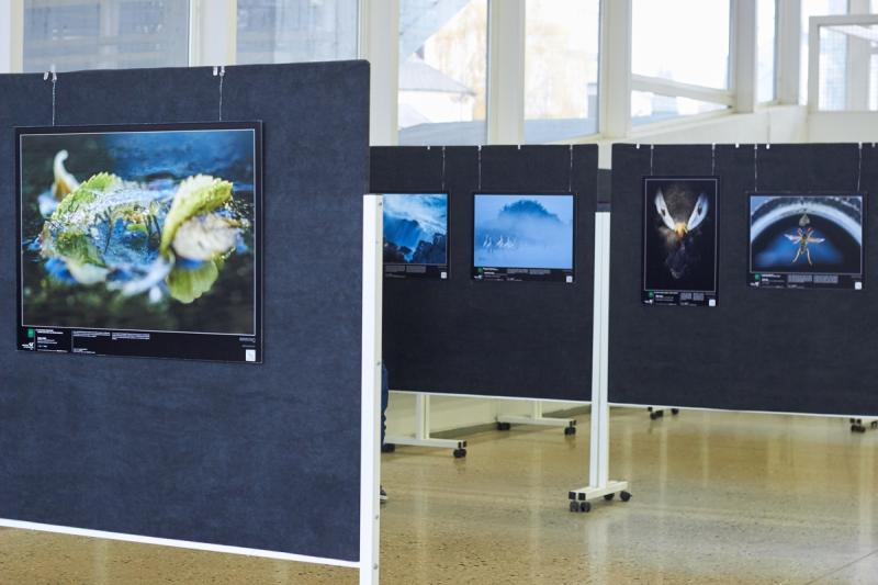 Természetfotó kiállítás a kulturális központban