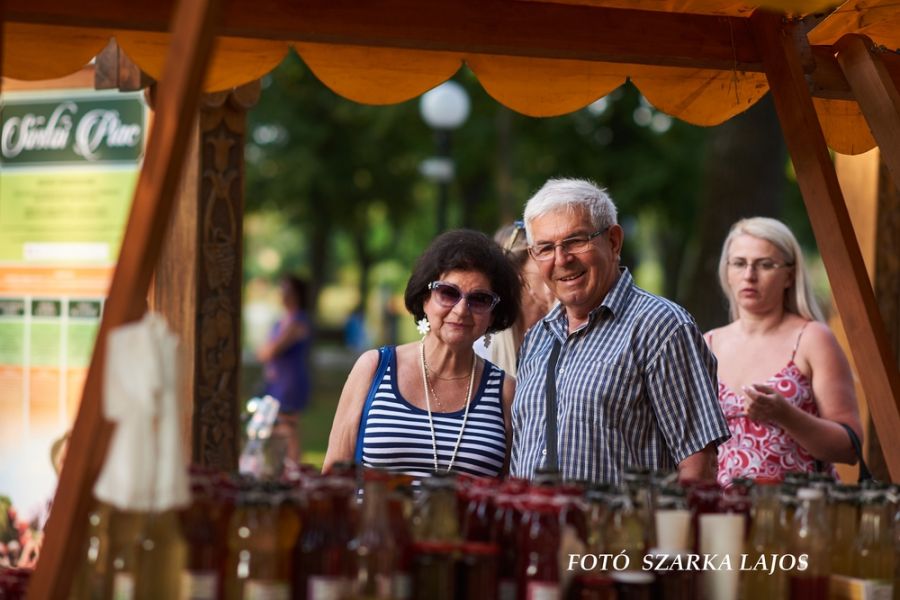 Térzene Sóstón 20190612