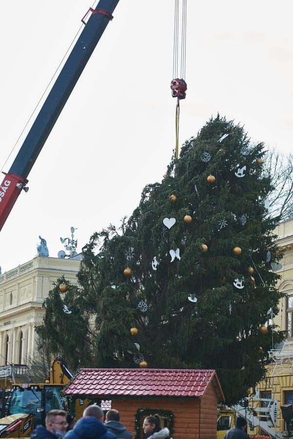 Újra a helyén a karácsonyfa