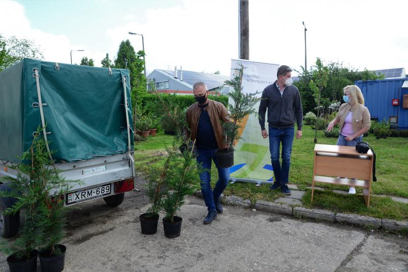 Ültess egy fát a holnapért! - megkezdődött  a növények osztása a NYÍRVV-nél