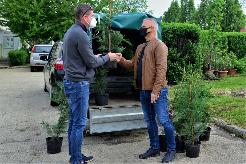 Ültess egy fát a holnapért! - megkezdődött  a növények osztása a NYÍRVV-nél