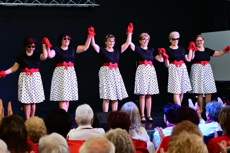 Városi kulturális szemle a Kölyökvárban